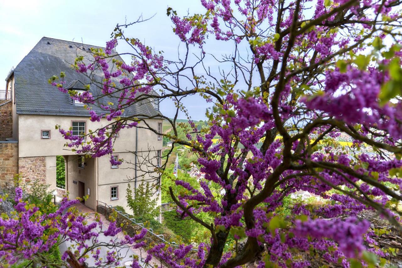 Ev.Familienferien-Und Bildungsstaette Ebernburg Hotell Bad Münster am Stein-Ebernburg Eksteriør bilde